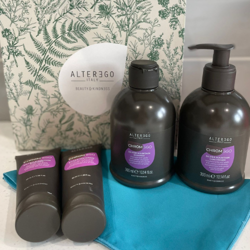 AlterEgo Silver Maintain Shampoo & Conditioner Gift Set